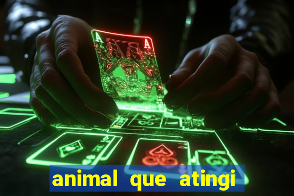 animal que atingi 230 decibeis